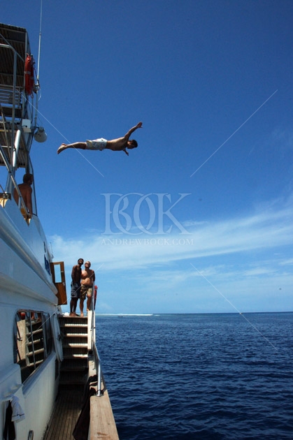 Copyright Andrew Bock. All rights protected.